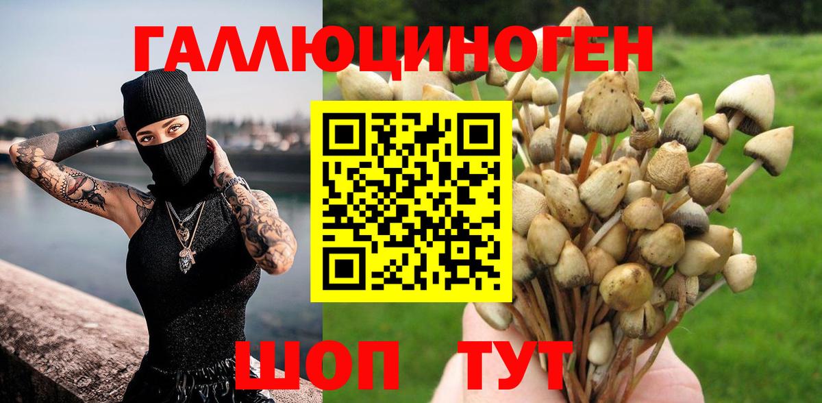 Галлюциногенные грибы мицелий  Вход с VPN  где купить наркоту  Донской 
